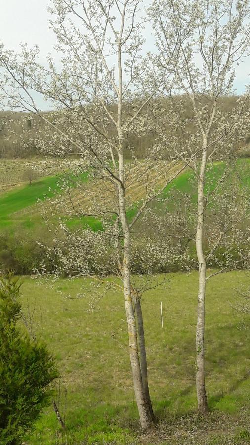 Taillefer Bed & Breakfast Saint Paul de Loubressac Dış mekan fotoğraf